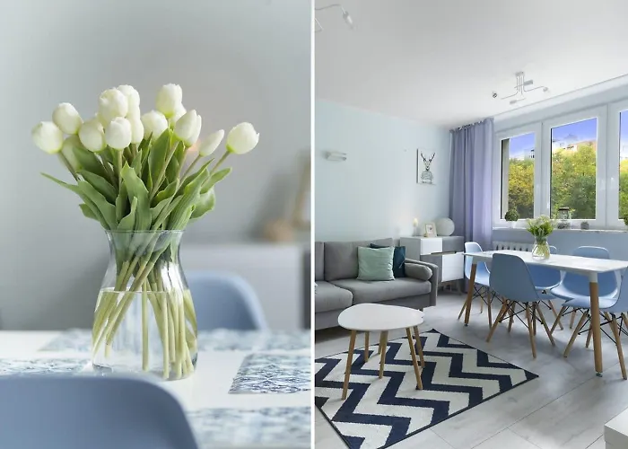 Elite Brzezno Family Apartmán